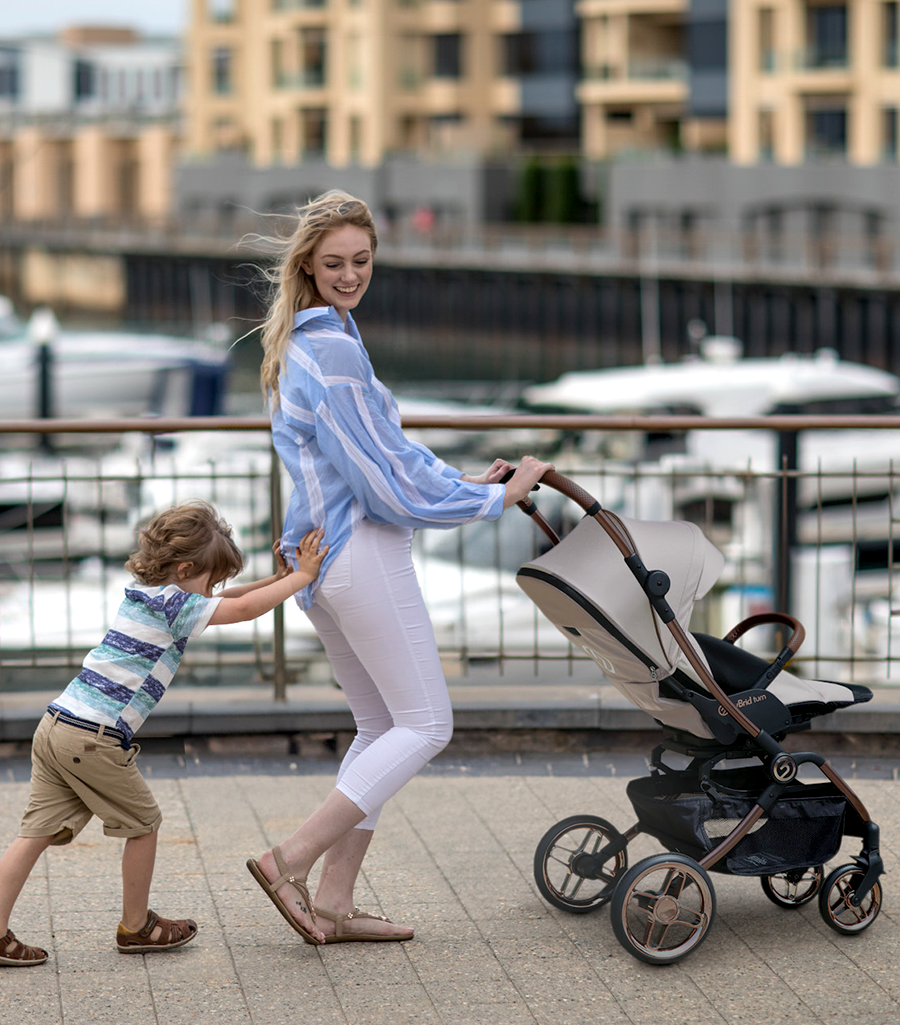Hybrid Stroller